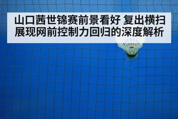 badminton net play